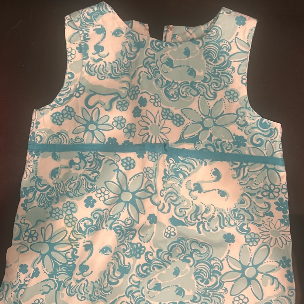 Lilly dress size 6